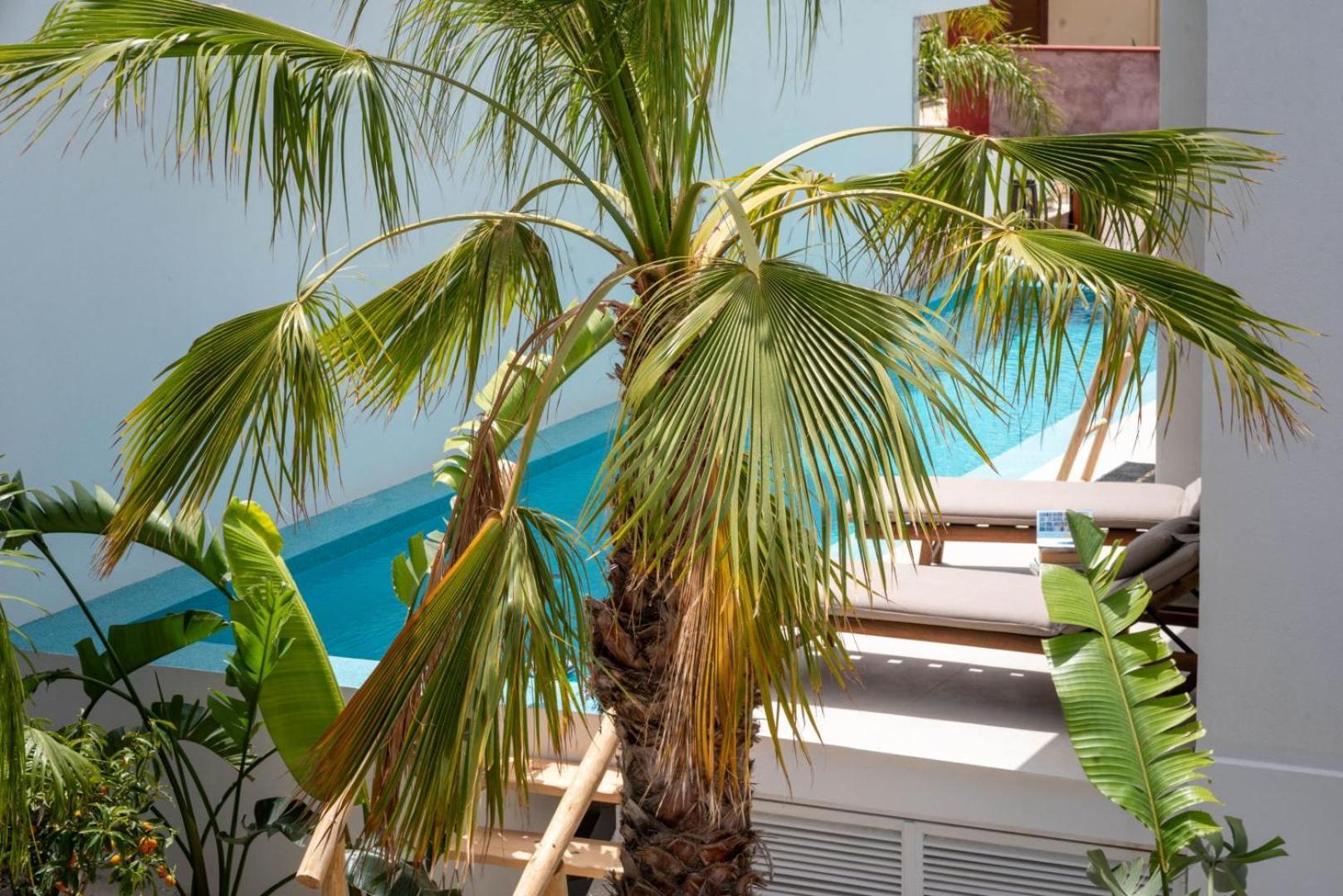 D Palm Premium Living - Kalathas, Chania La Canea Exterior foto